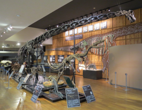 Tamba Dinosaur Museum, Tamba, Hyogo